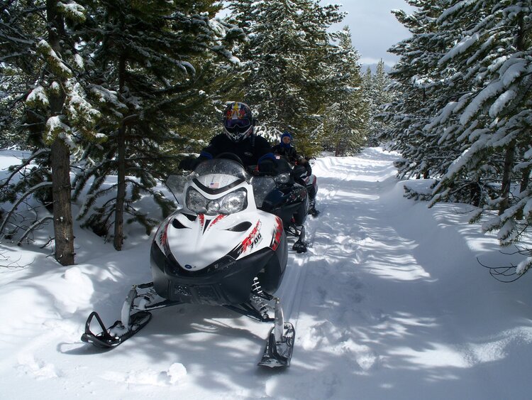 People Snowmobiling