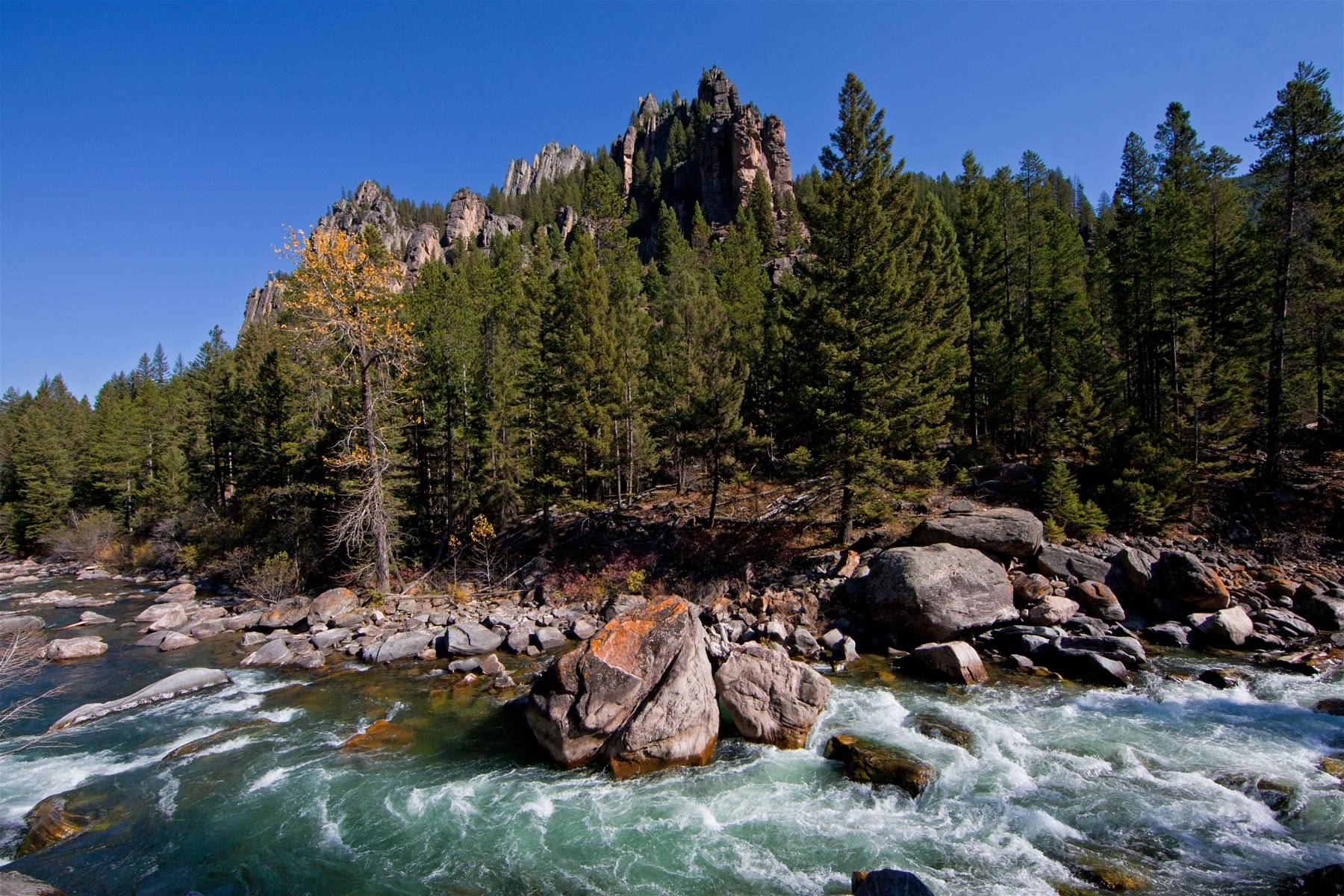 Big Sky River and Trees