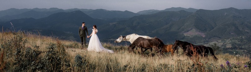 Couple in Wedding dress and Suit with horse in Big Sky Montana