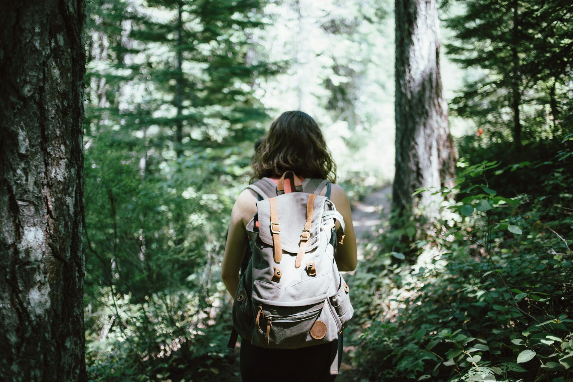 Woman Hiking through Woods in Big Sky Montana