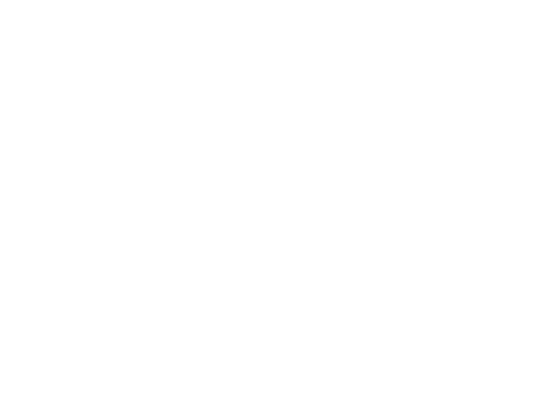 Wilson Peak Properties White Logo